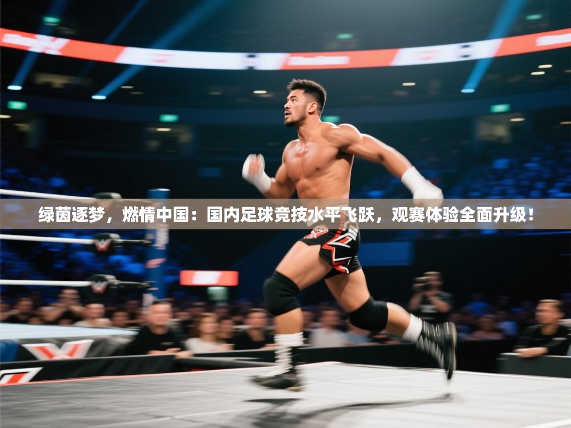 绿茵逐梦，燃情中国：国内足球竞技水平飞跃，观赛体验全面升级！  第1张