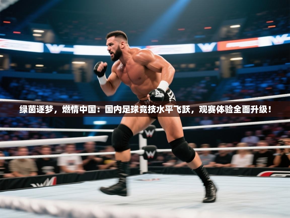 绿茵逐梦，燃情中国：国内足球竞技水平飞跃，观赛体验全面升级！  第2张